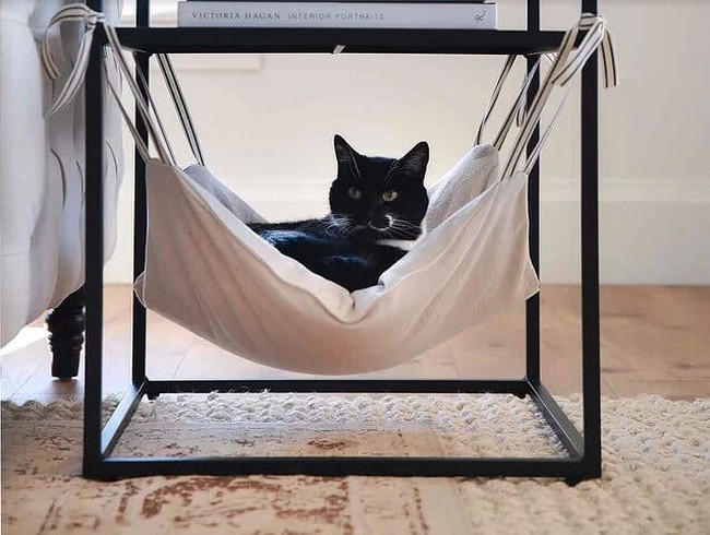 easy to make hammock for kittens 