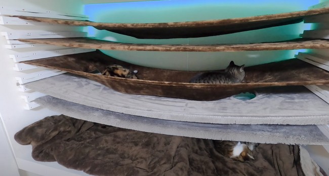 Cat Hammock With Tunnel