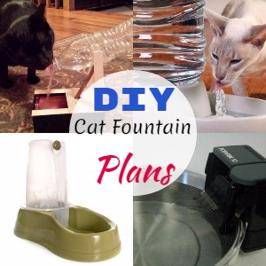 DIY Cat Fountain Plans