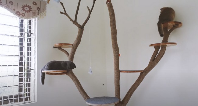 DIY Cat Tree Using Tree Branches