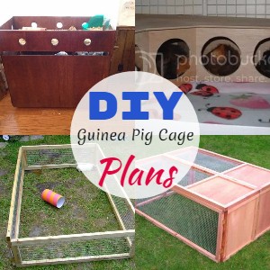 DIY Guinea Pig Cage Plans