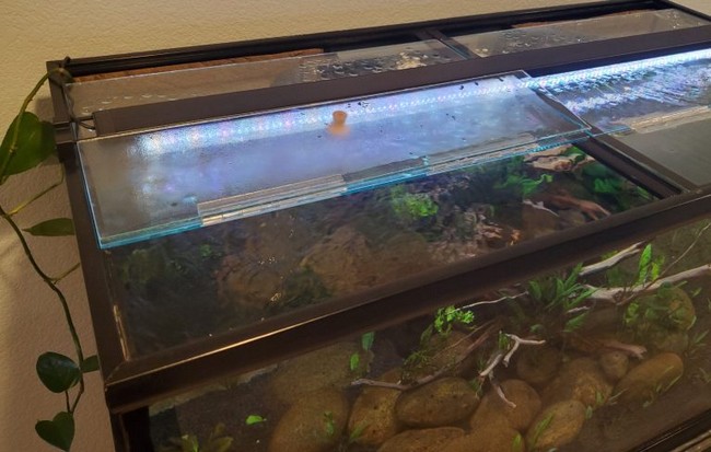 DIY Hinged Glass Aquarium Lids