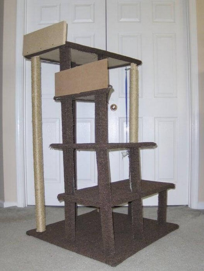 Multi-Level kitten Tree