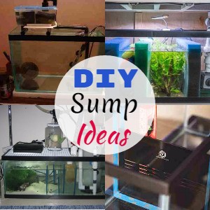 DIY Sump Ideas