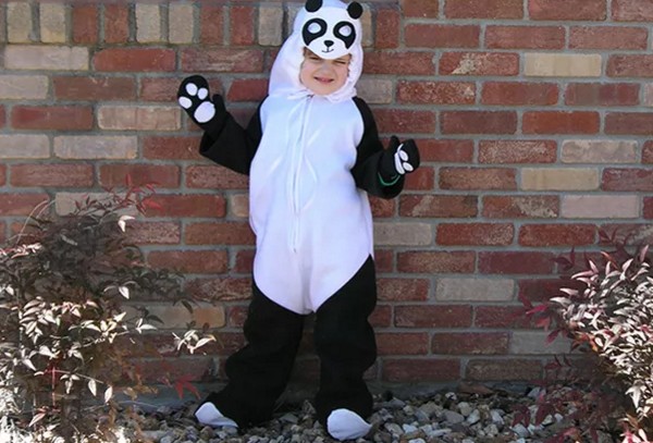 Homemade Panda Costume Idea