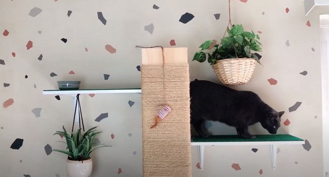 How To Build A Cat Wall