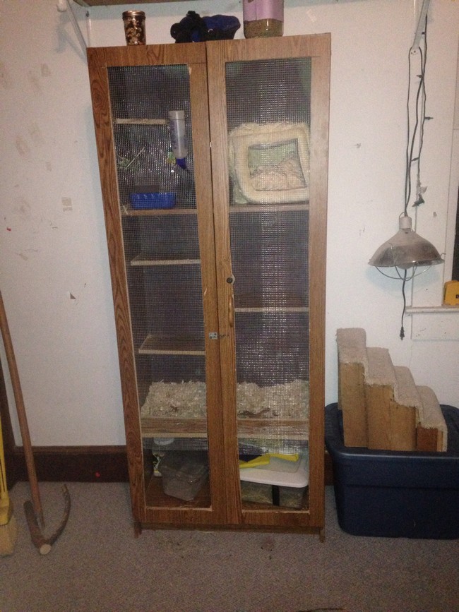  How To Make A Chinchilla Cage Out Of A Bathroom Dresser