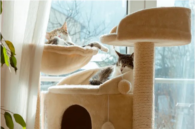 How To Make A Diy Cat Tower