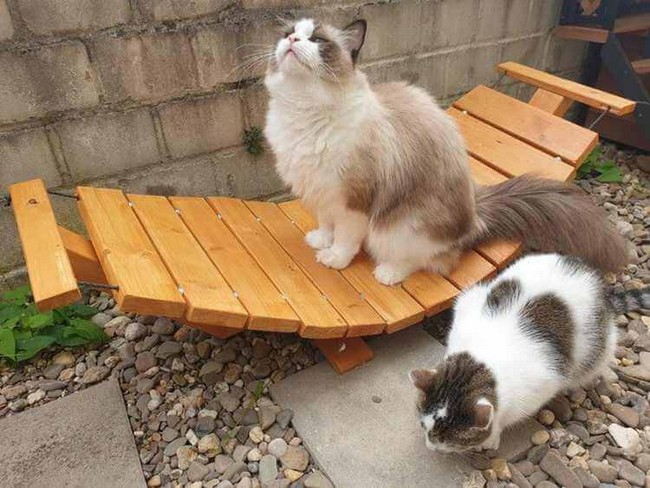 How To Make A Wooden Hammock for kitten