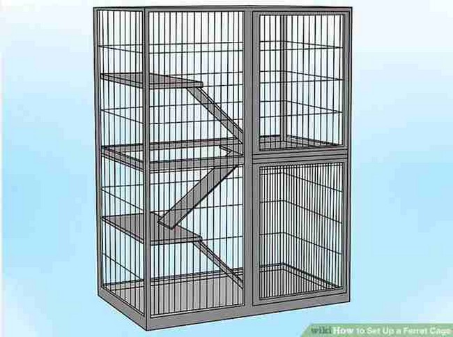 How To Setup A Ferret Cage