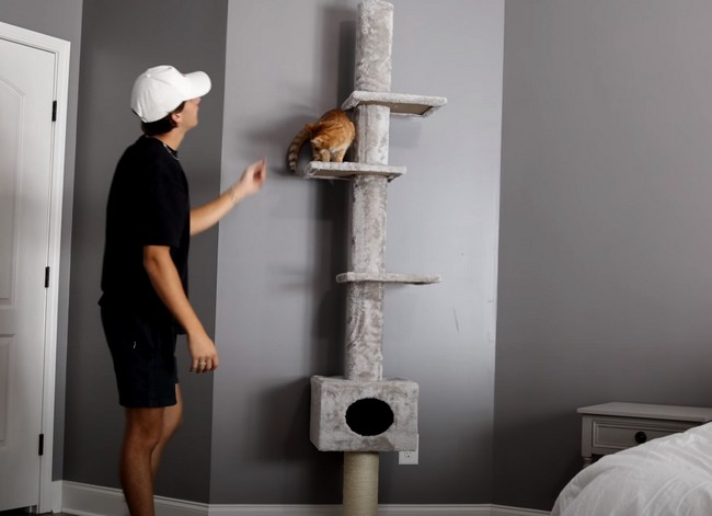 I Got My Cat The World"S Largest Cat Tree