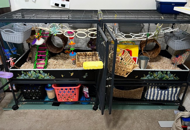 DIY Base Tray For Small Animal Cages