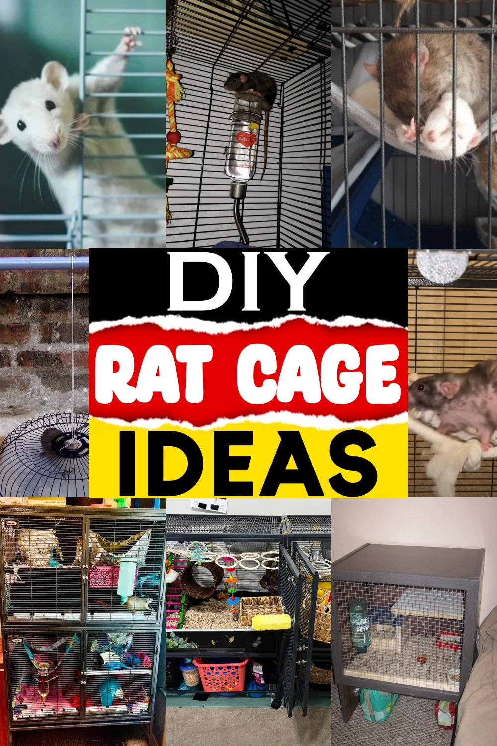 DIY Rat Cage Ideas