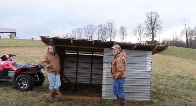 Goat Sheep Shelter Sheds