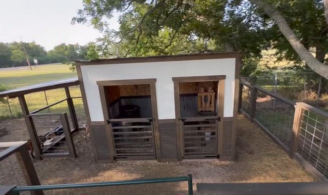 Restoring Old Shed Into Goat Shelter