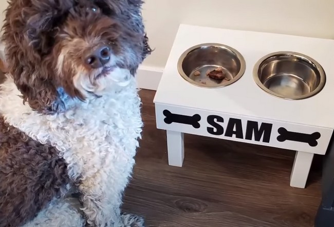 Dog Bowl Stand DIY