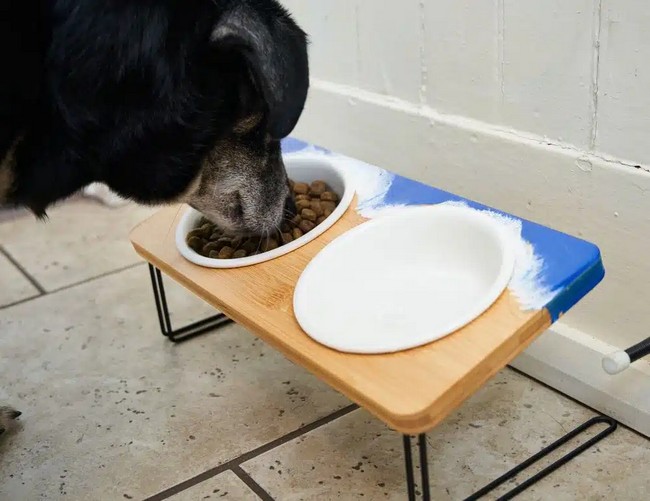 DIY Dog Bowl Stands With Resin