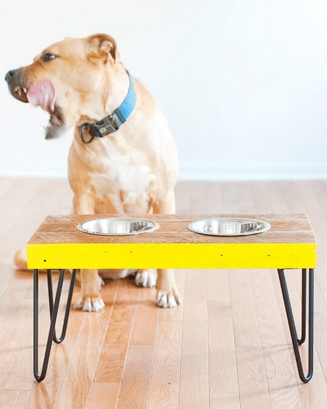 DIY Dog Food Bench