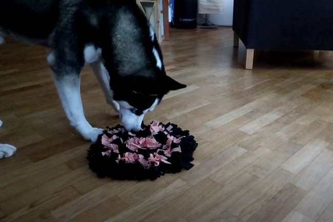 DIY Snuffle Mat For Doggos