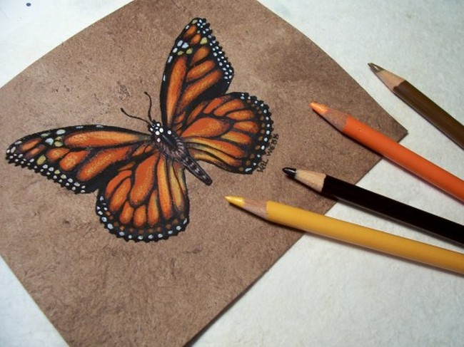 Draw & Paint Monarch Butterflies