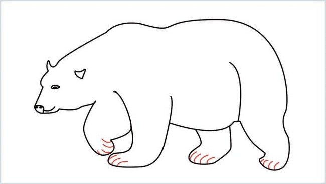 Easy Drawings Polar Bear