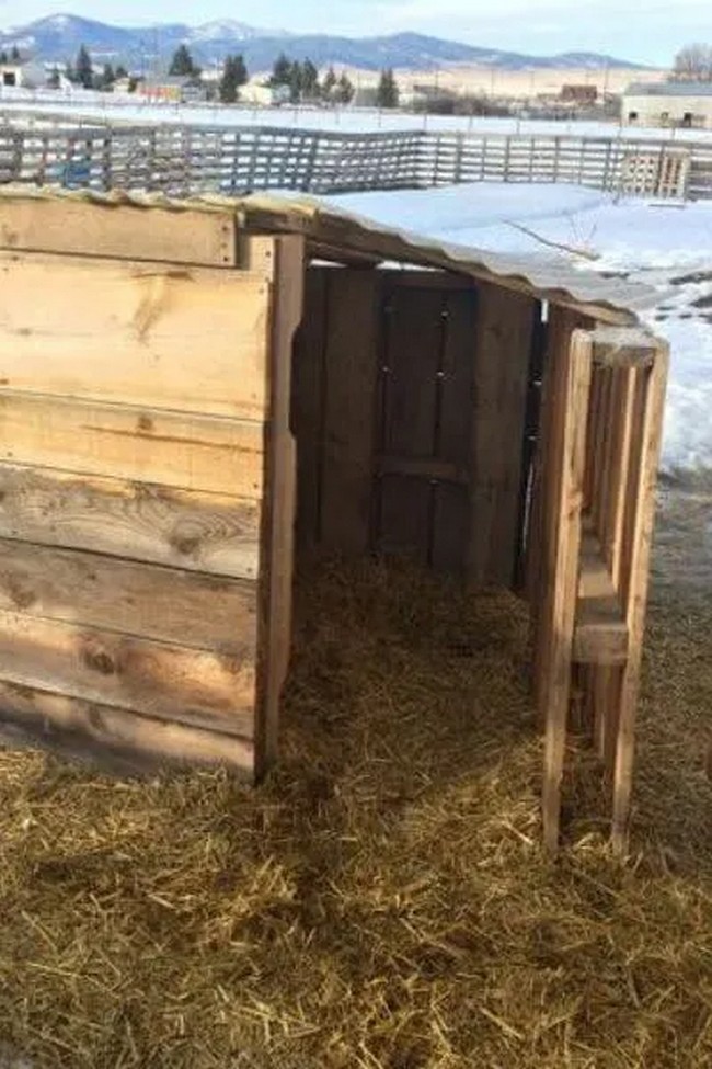 Easy To DIY Goat House