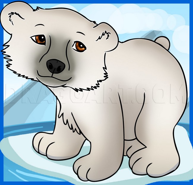 How To Draw A Cartoon Polar Bear 1