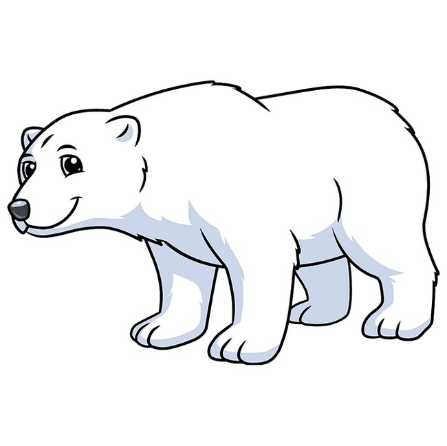 How To Draw A Cartoon Polar Bear