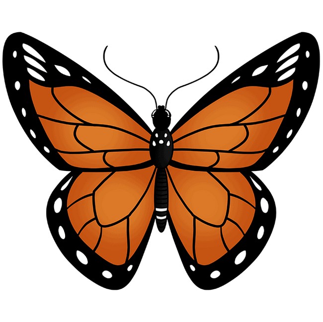 How To Draw A Monarch Butterfly