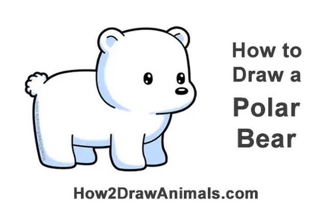 How To make A Bear Cartoon