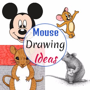 Mouse Drawing Ideas