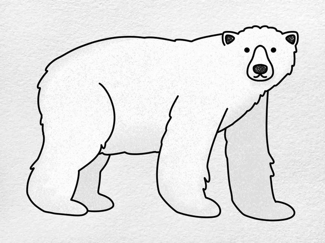 Bear sketch For Kids