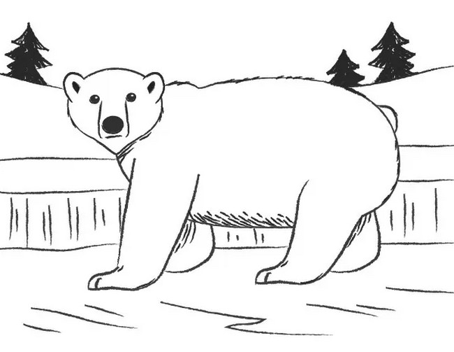 Simple Polar Bear Drawing