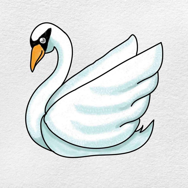 Beautiful Swan Drawing