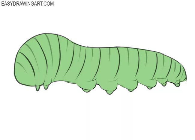 Cute Caterpillar Drawing