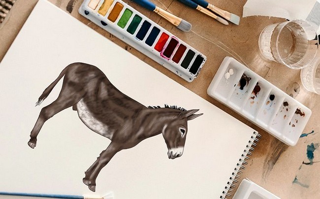 Cute Donkey Drawing