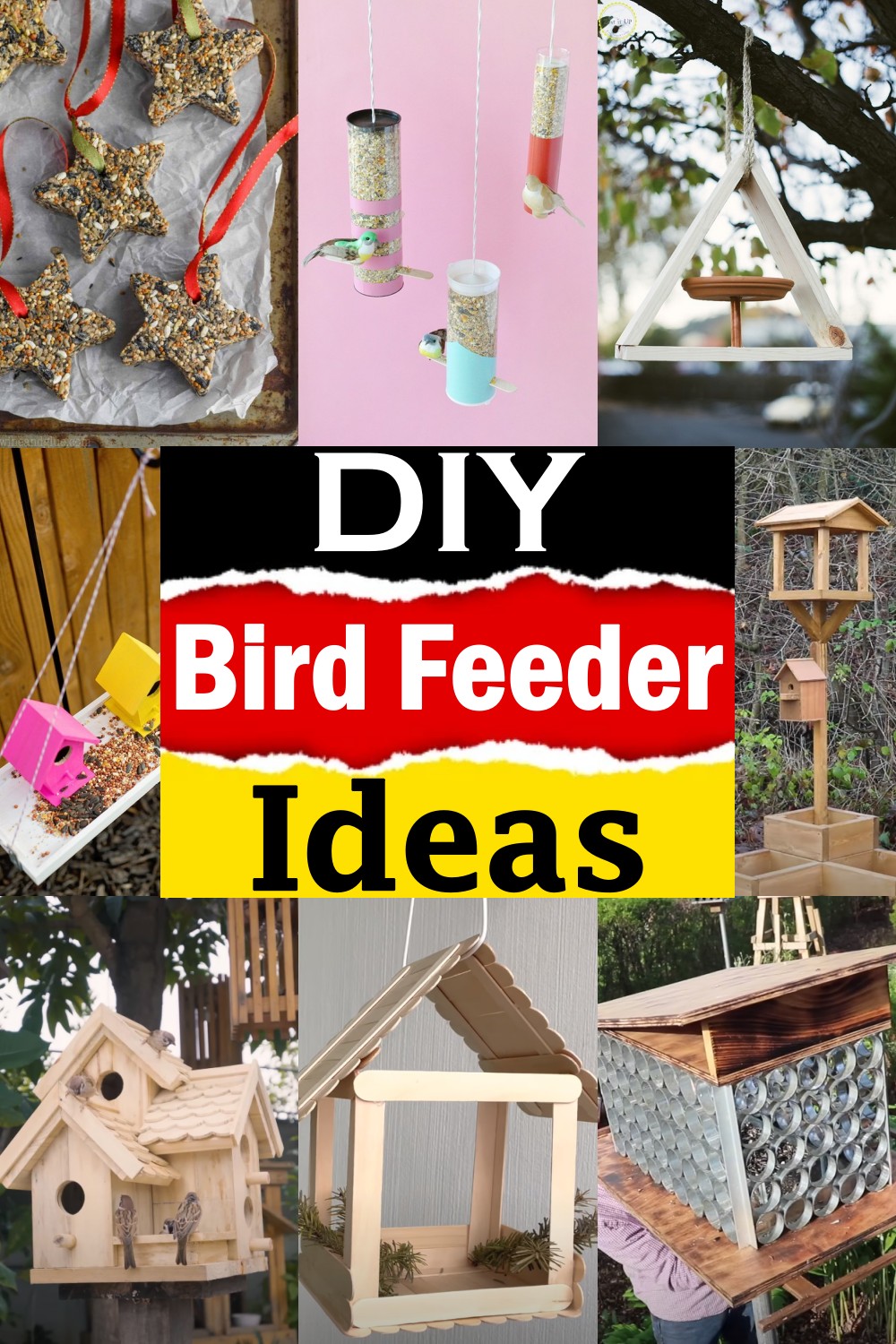 DIY Bird Feeder Plans