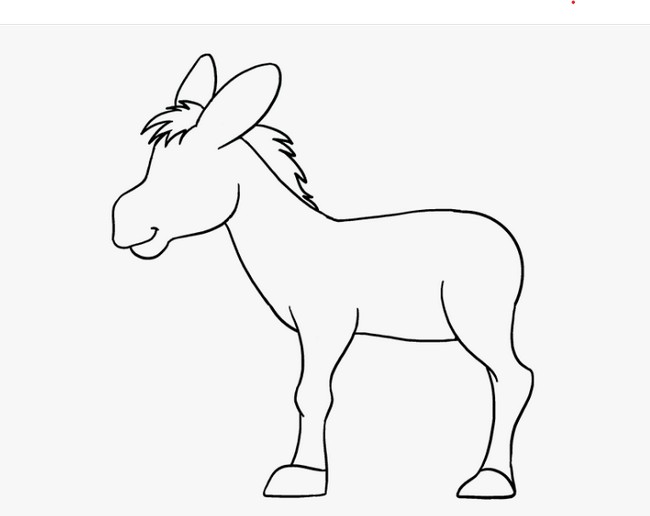 Donkey Drawing