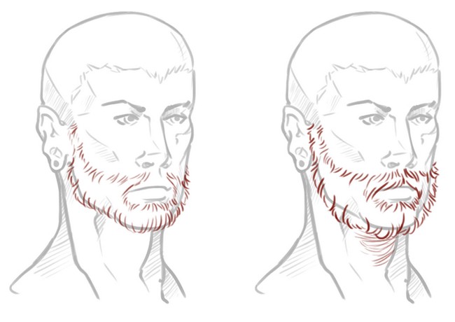 Drawing Beards