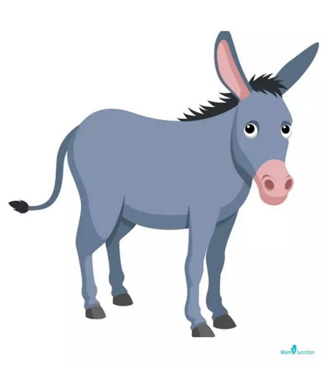 Easy Donkey Drawing