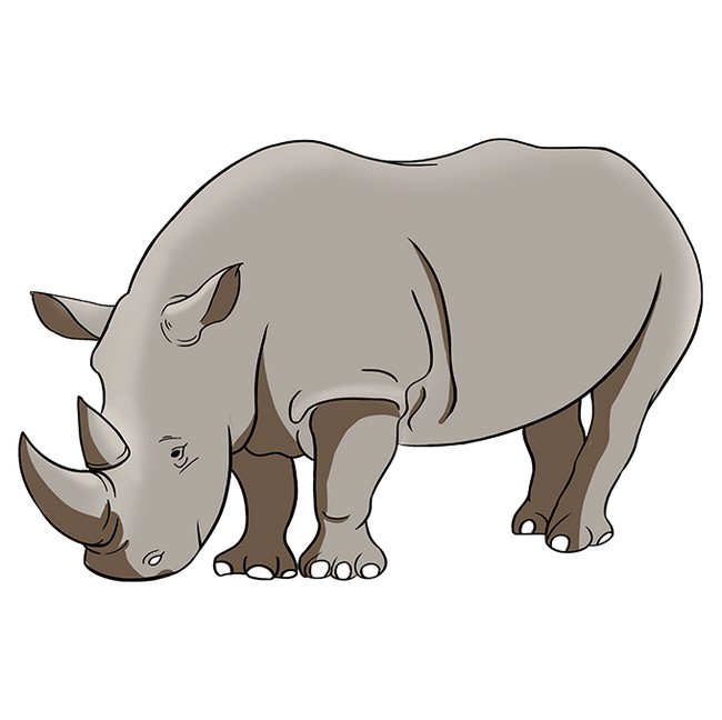 Easy Rhino Drawing