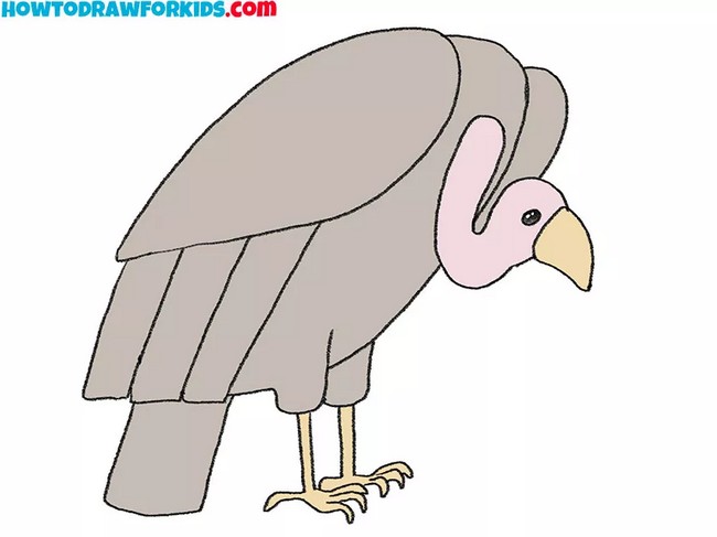  Easy Vulture Drawing