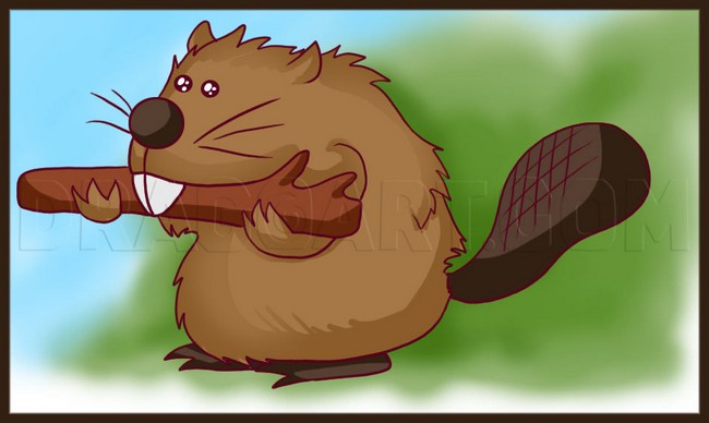 How To Draw A Beaver 1