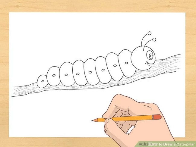 How To Draw A Caterpillar