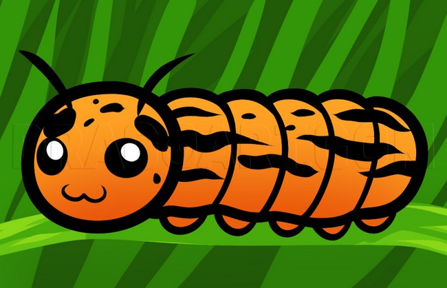 How To Draw A Caterpillar For Kids