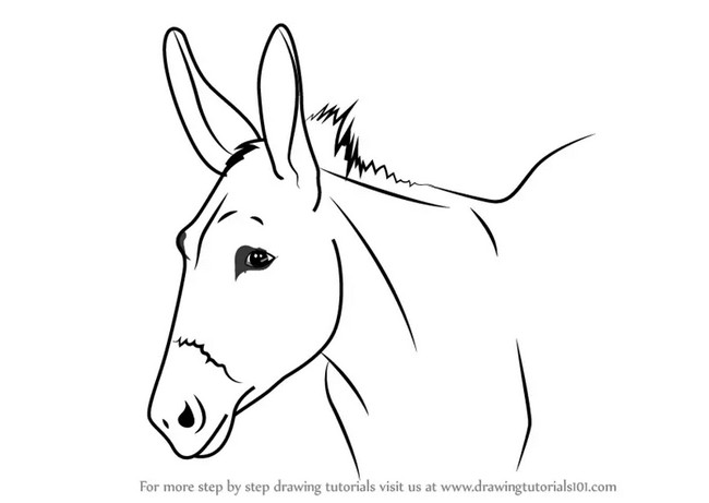 How To Draw A Donkey Face