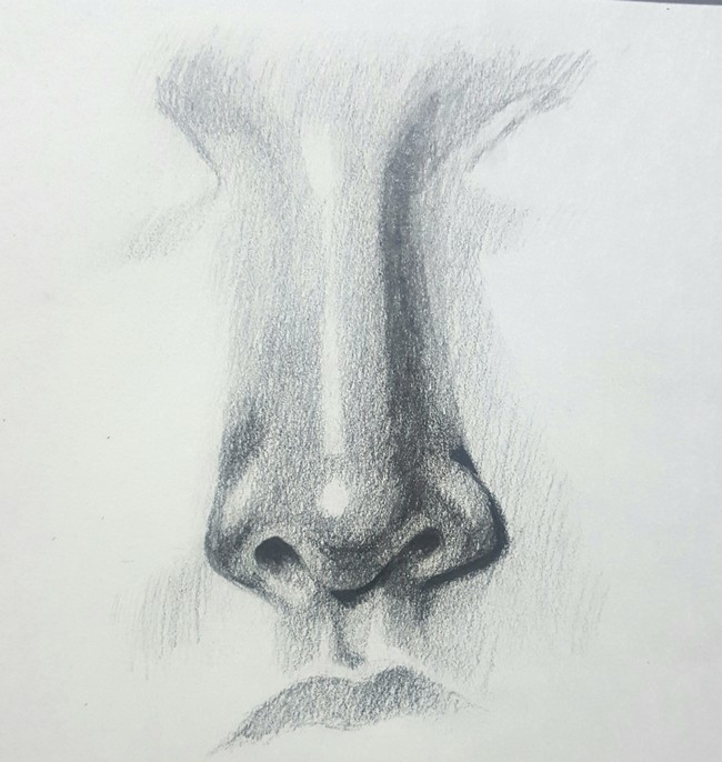 How To Draw A Nose By Sketching