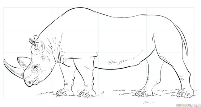 How To Draw A Realistic Rhino