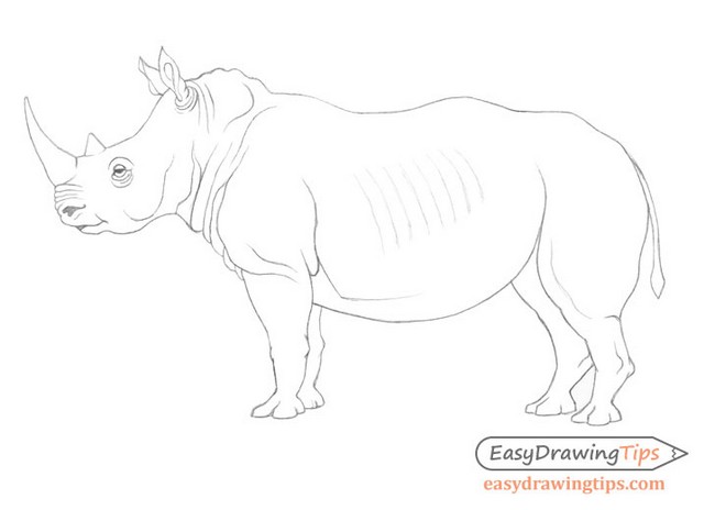 How To Draw A Rhinoceros Step By Step