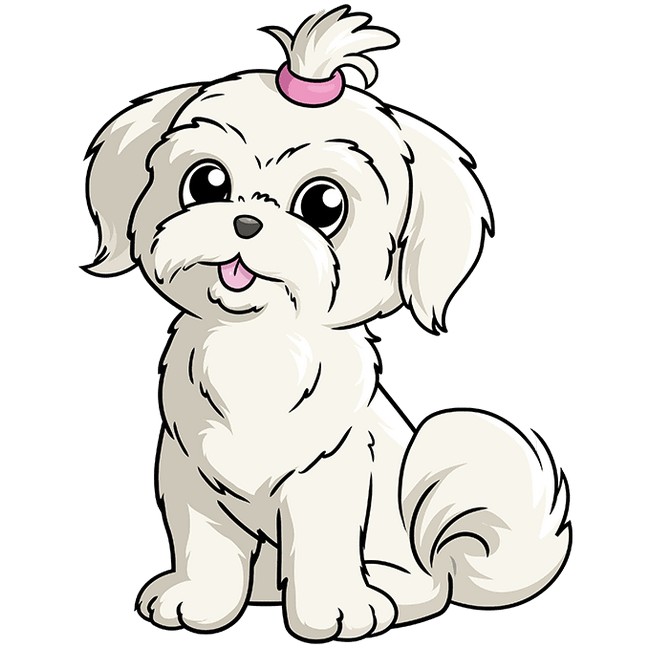 How To Draw A Shih Tzu